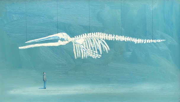 Stuart Buchanan - blue whale
